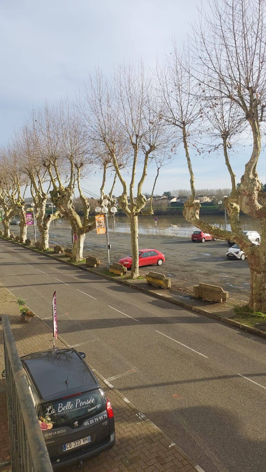 Une photo de l’annonce