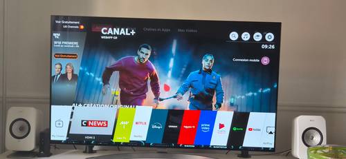 Vends TV LG 55 pouces 139 cm