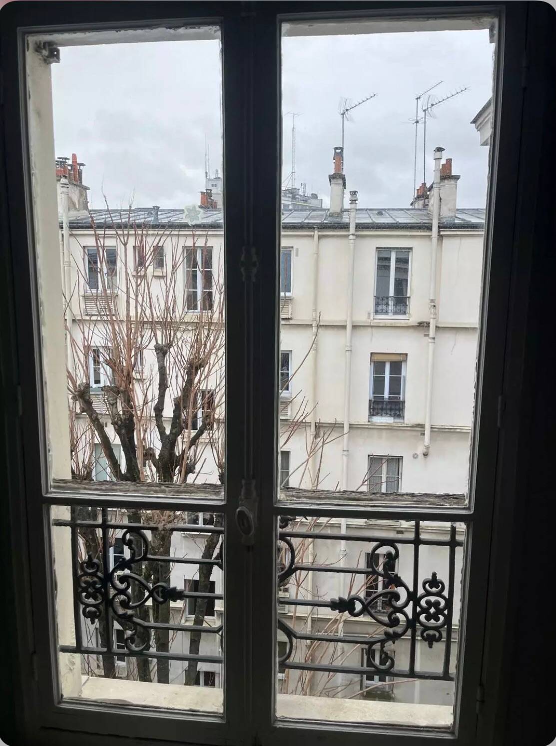 Une photo de l’annonce