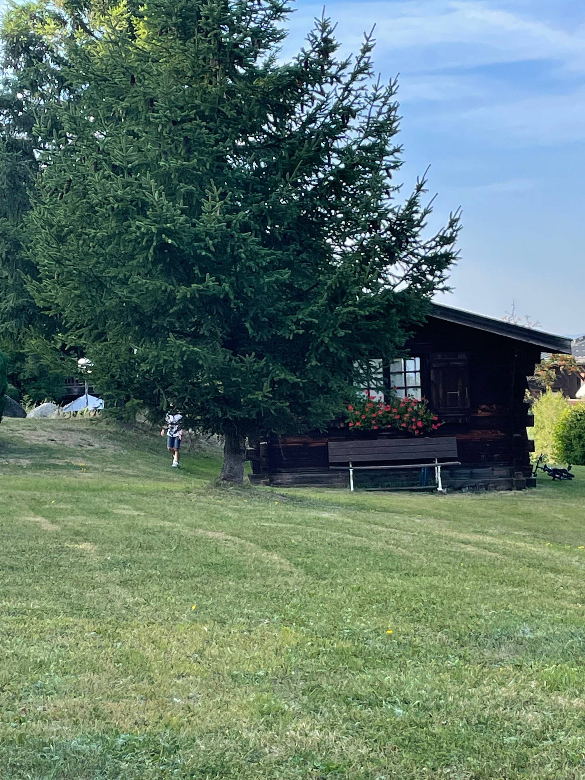 Une photo de l’annonce de location de vacances