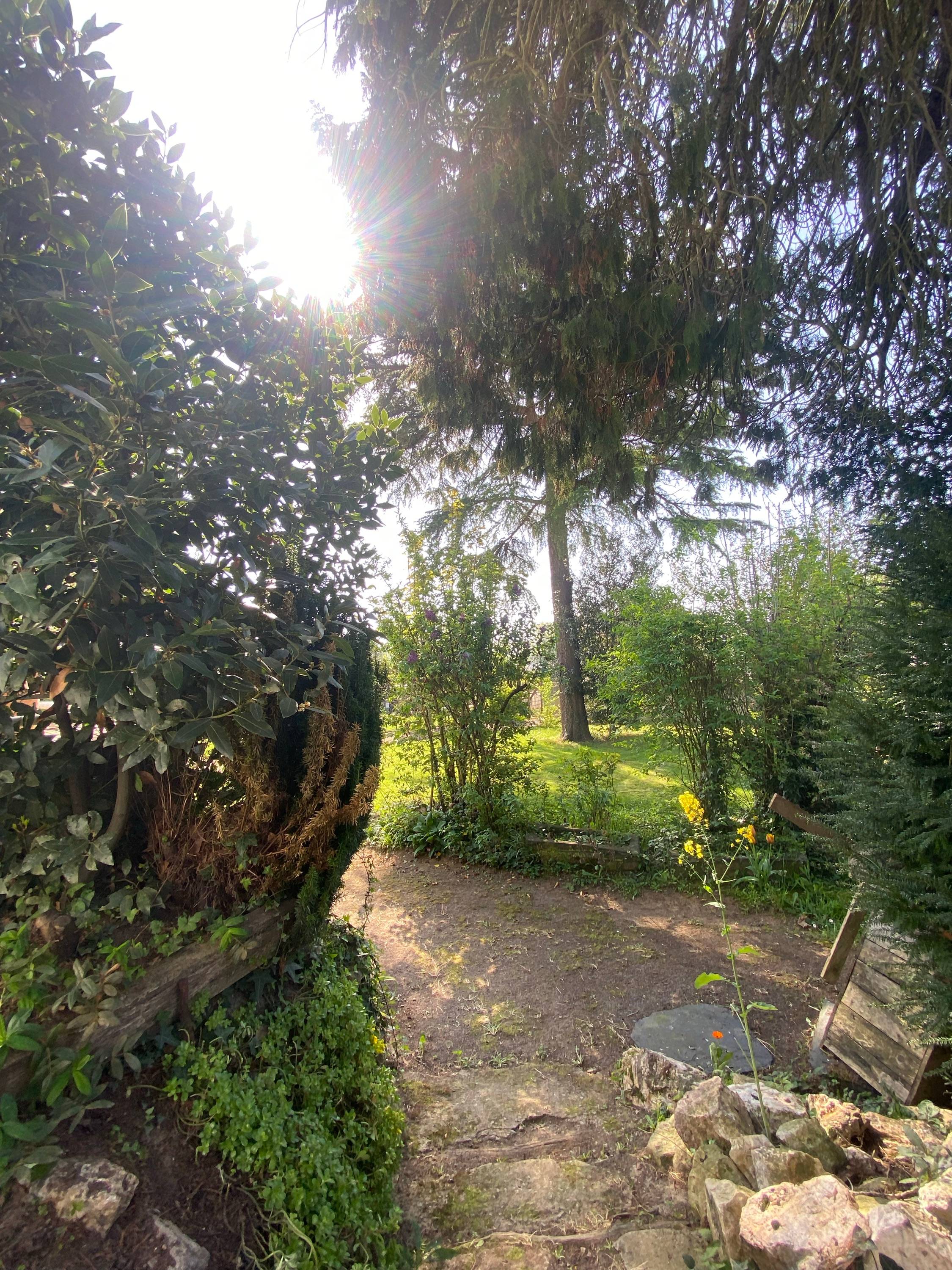 Une photo de l’annonce