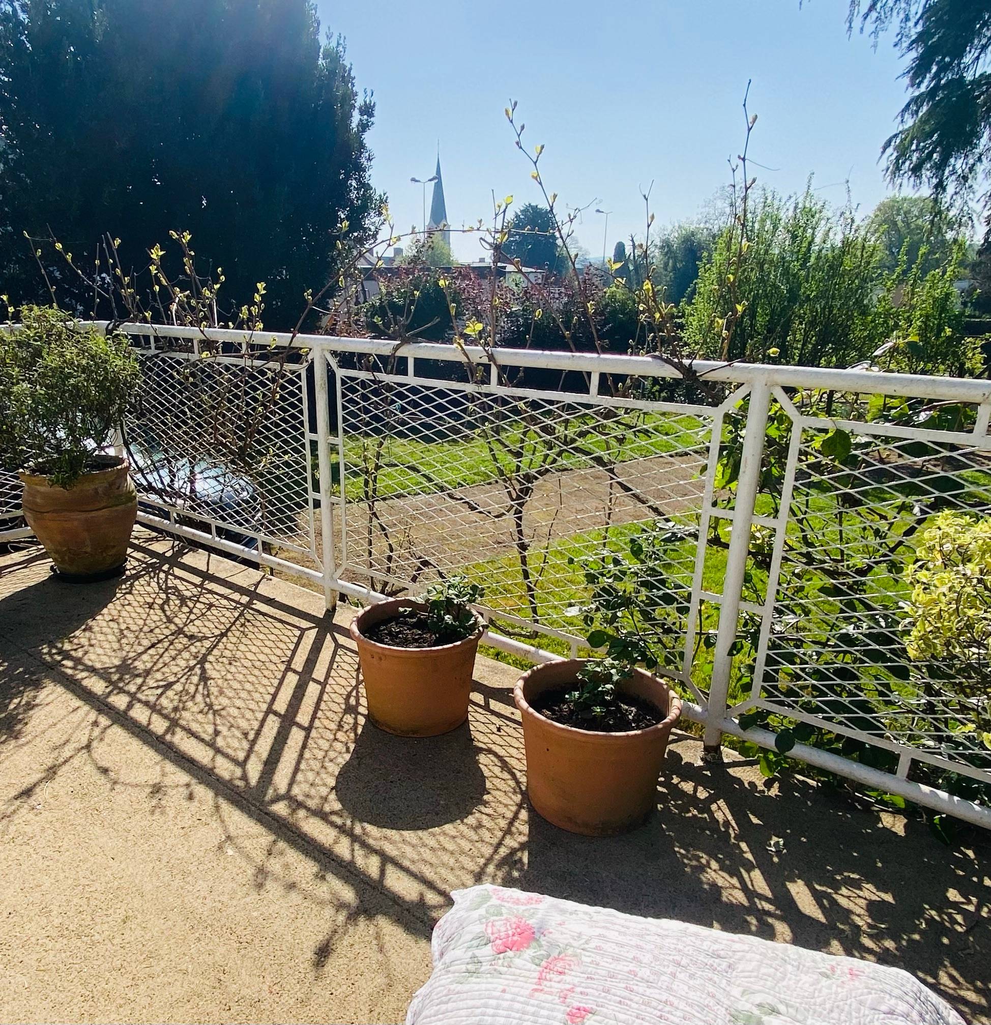 Une photo de l’annonce