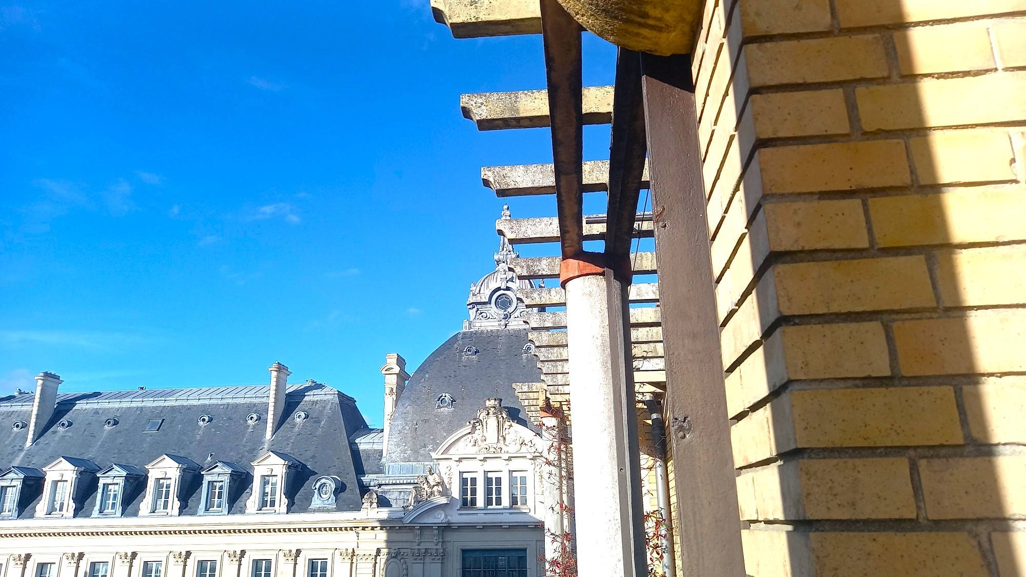 Une photo de l’annonce