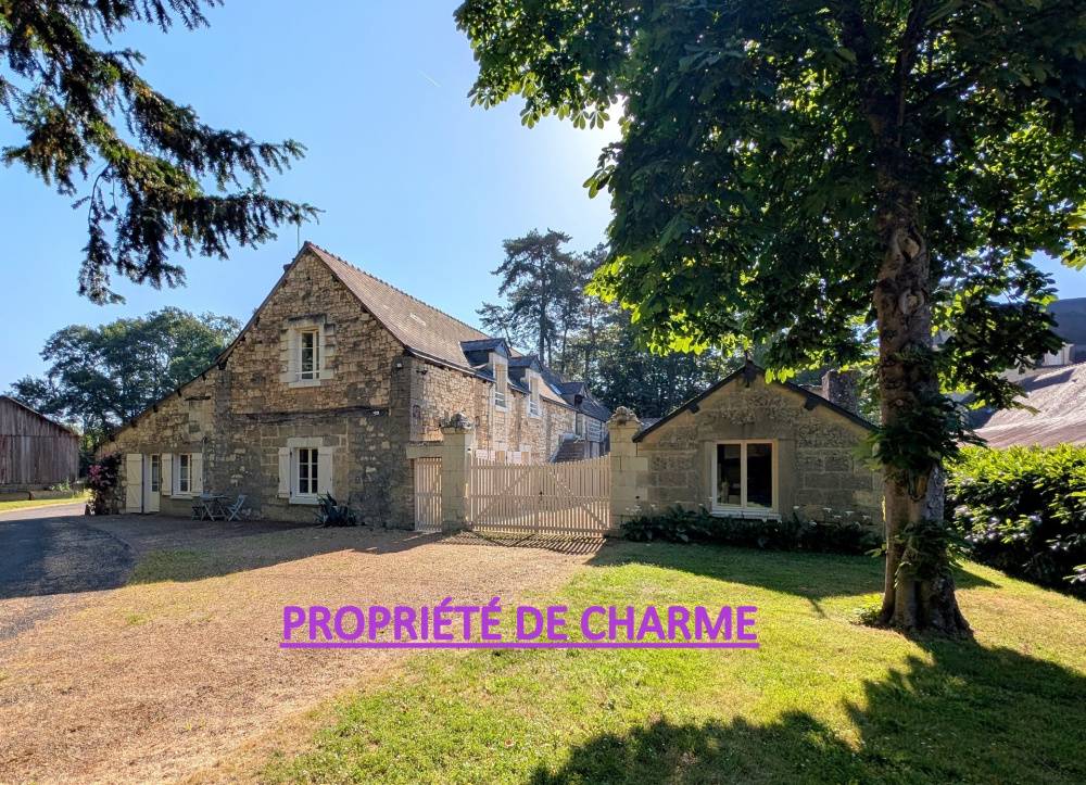Une photo de l’annonce