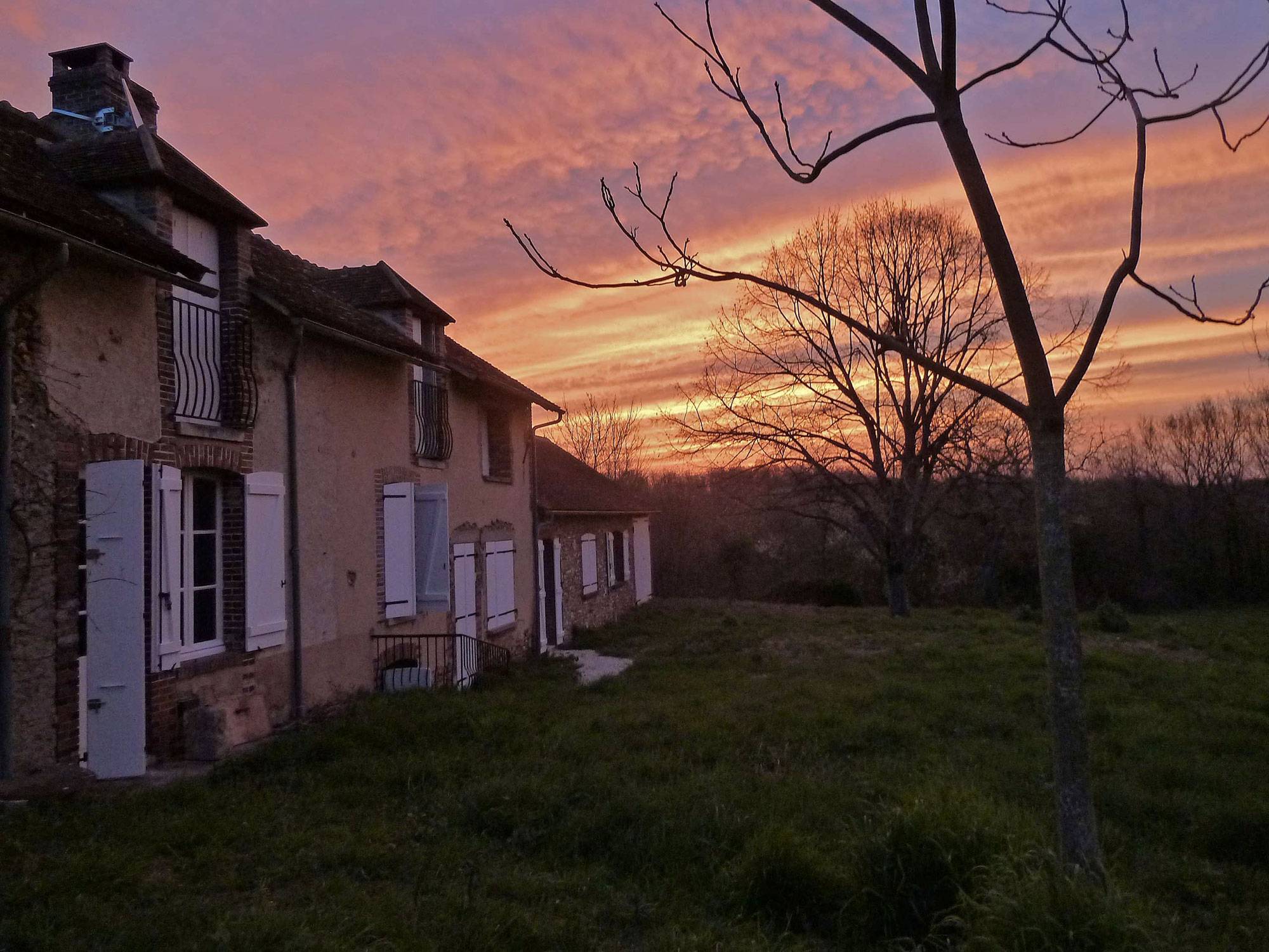 Une photo de l’annonce