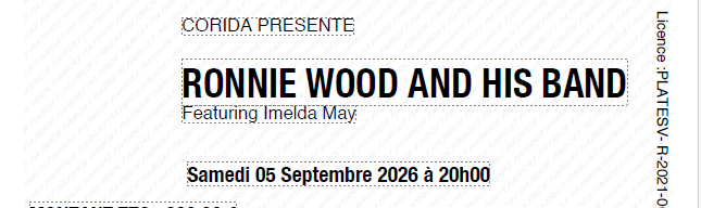 Propose place pour le concert de Ronnie Wood and his Band le 5 septembre