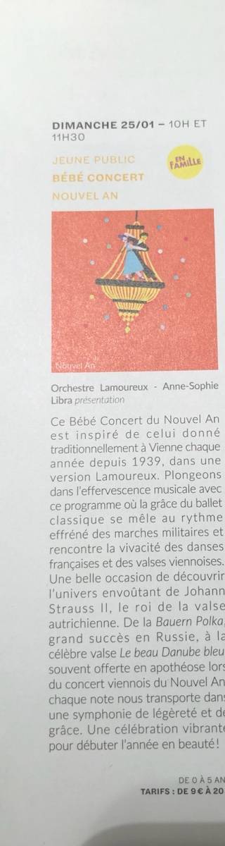 Vends 5 places pour le concert Bébé à la Seine Musicale le 25 janvier