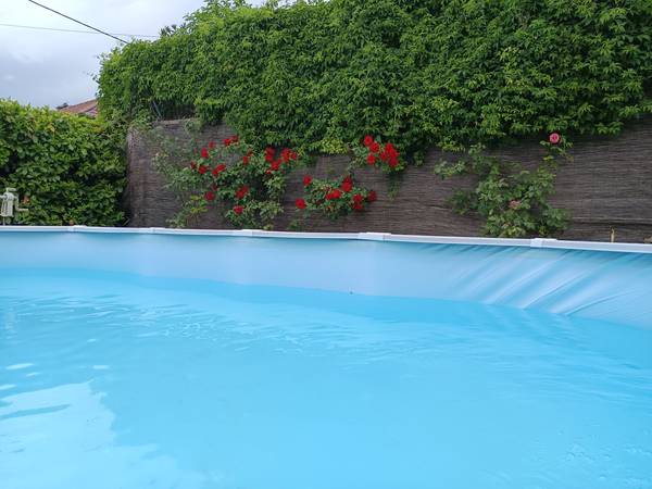 Une photo de l’annonce