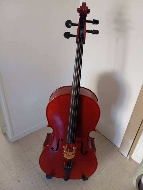 Vends violoncelle