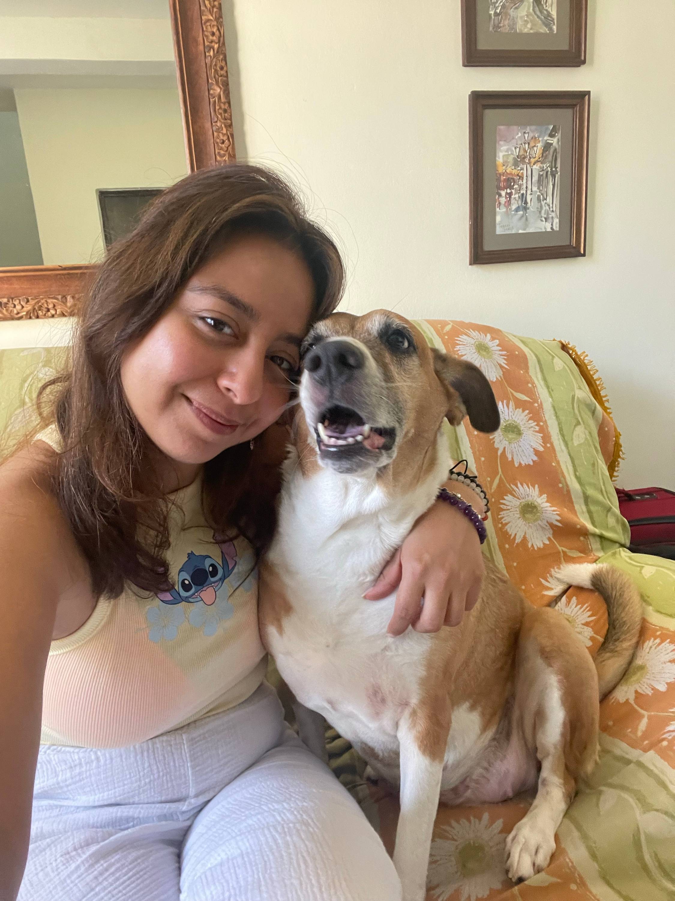 Propose pet-sitting chiens et chats et promenades - Paris