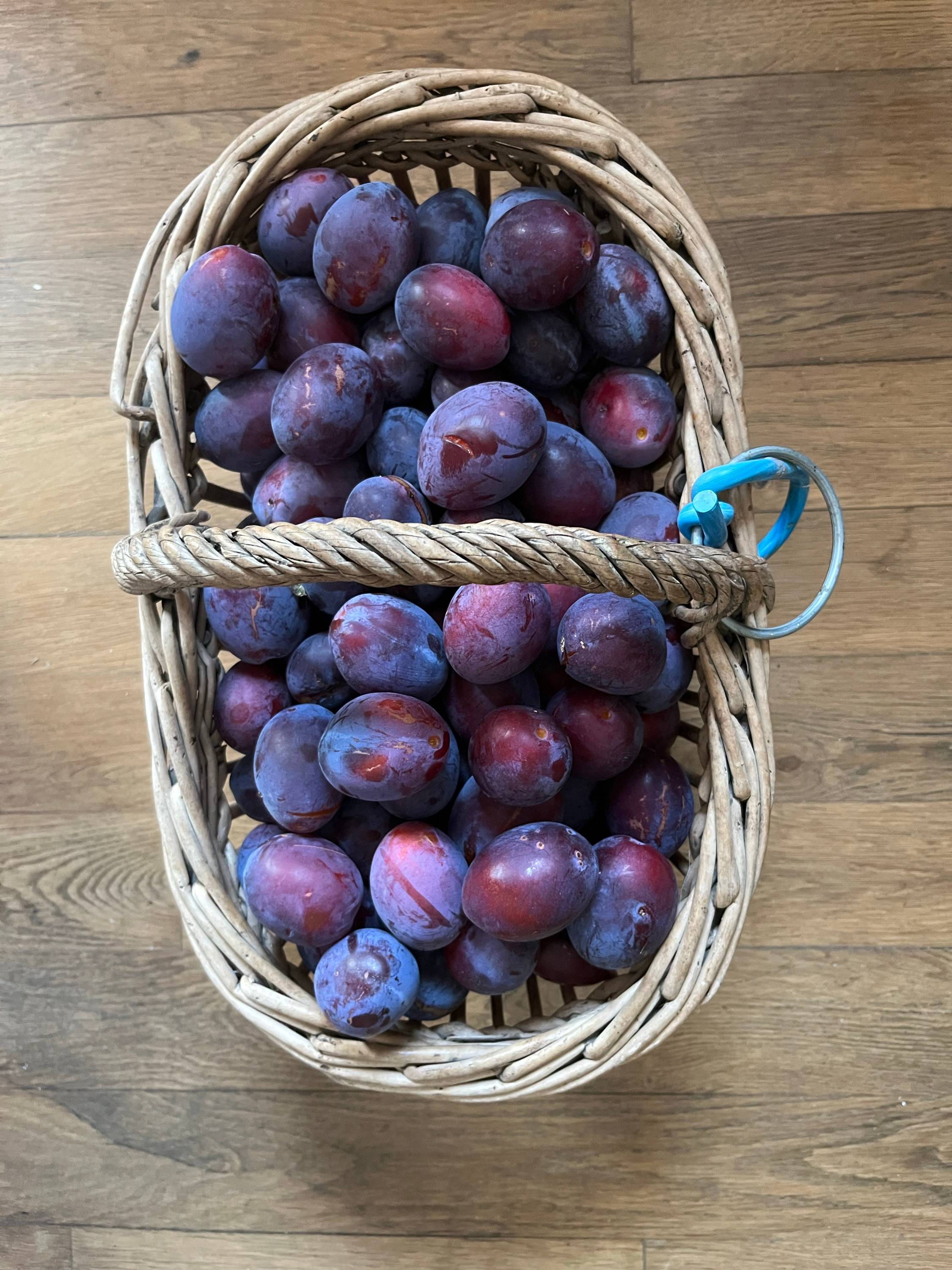 Vends prunes vente ou échange