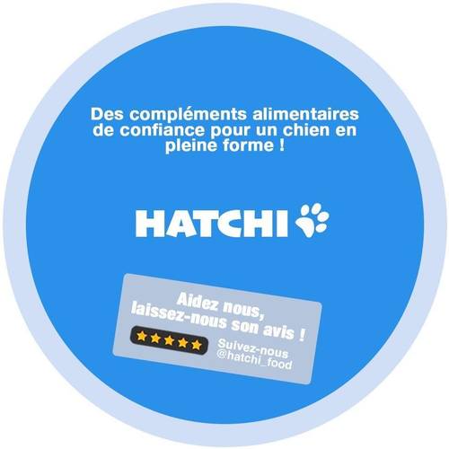 Propose stage en marketing digital H/F