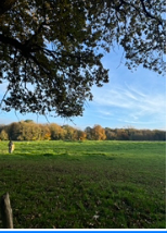 Recrute couple de gardiens - Yvelines H/F