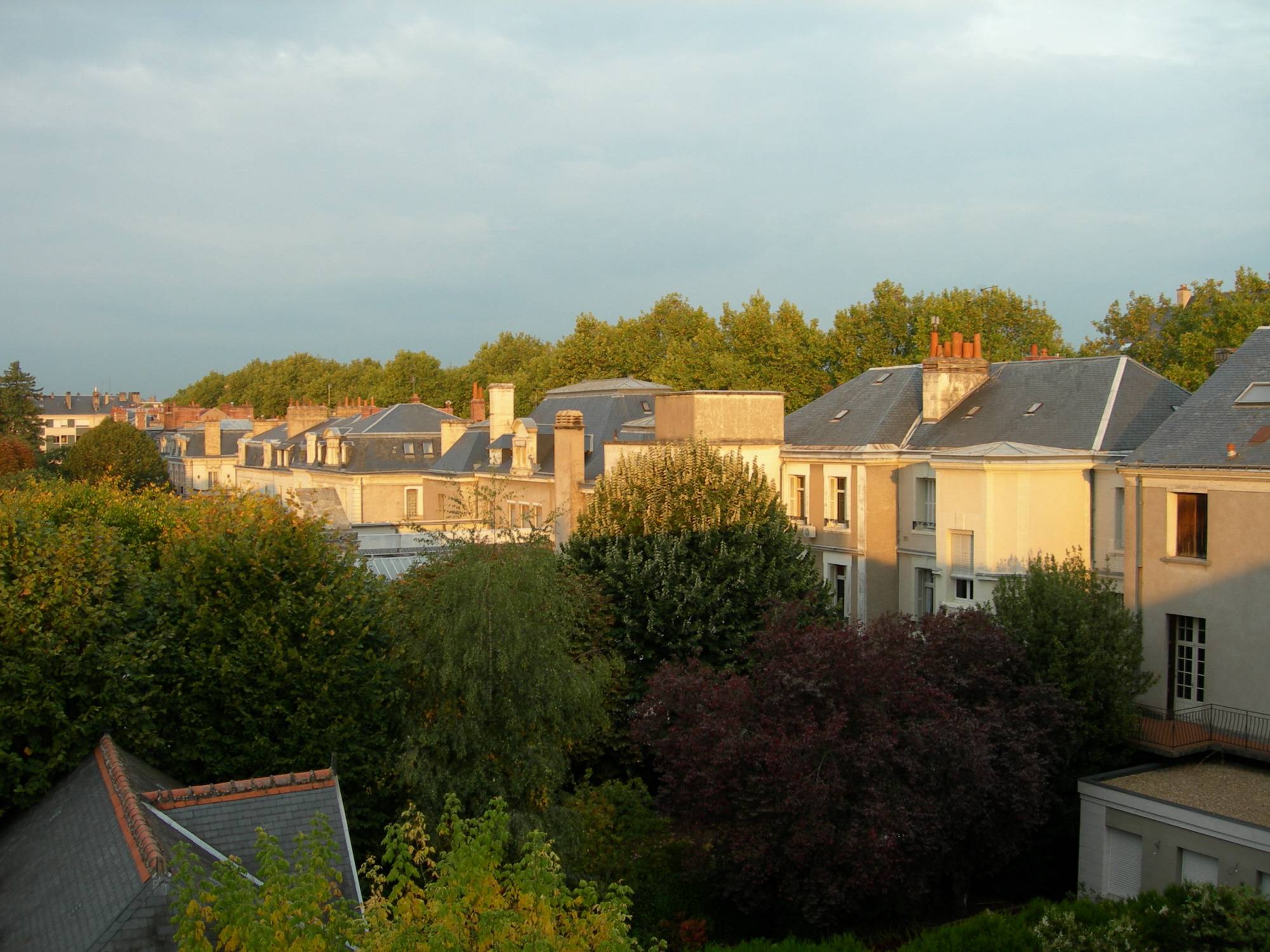Une photo de l’annonce