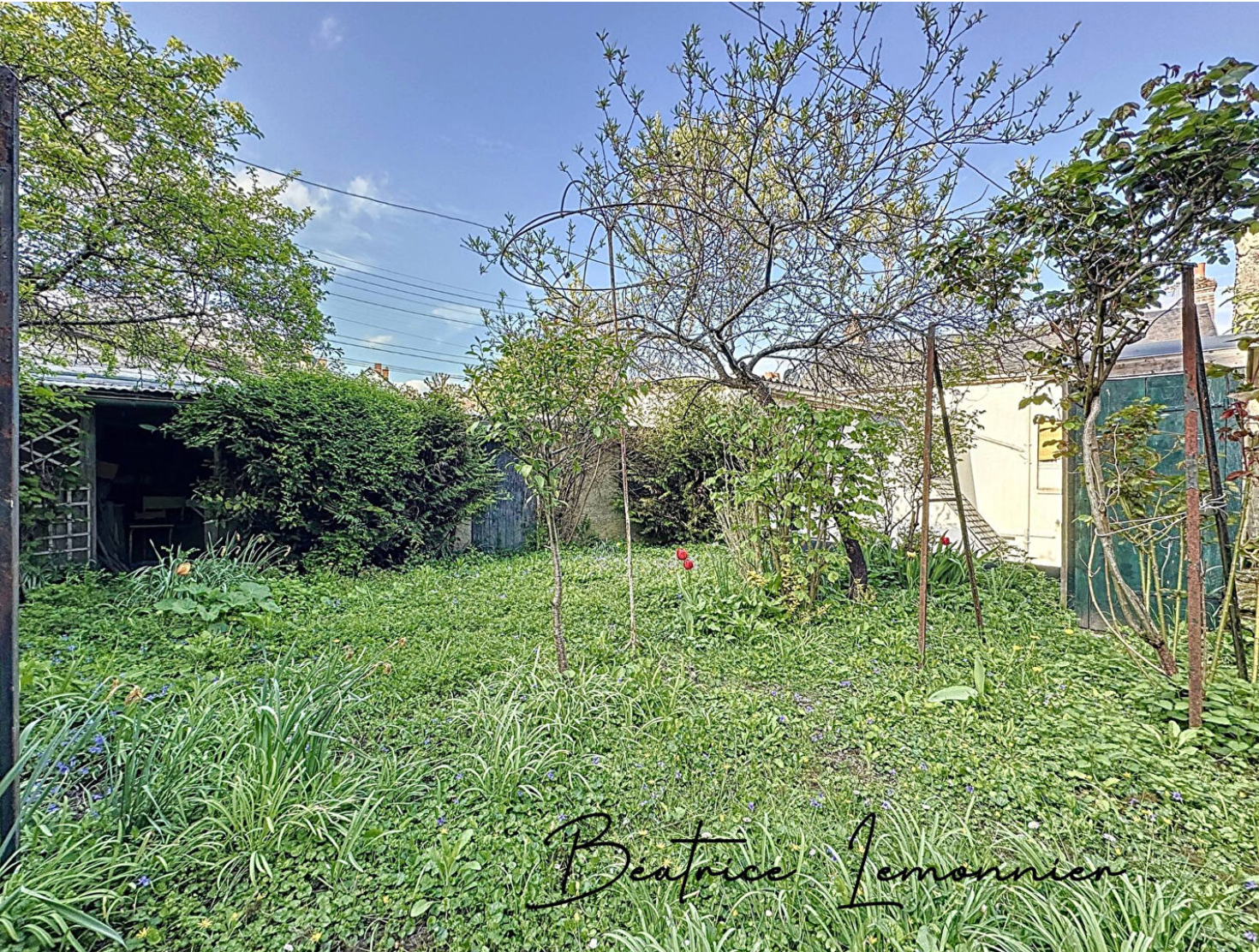 Une photo de l’annonce