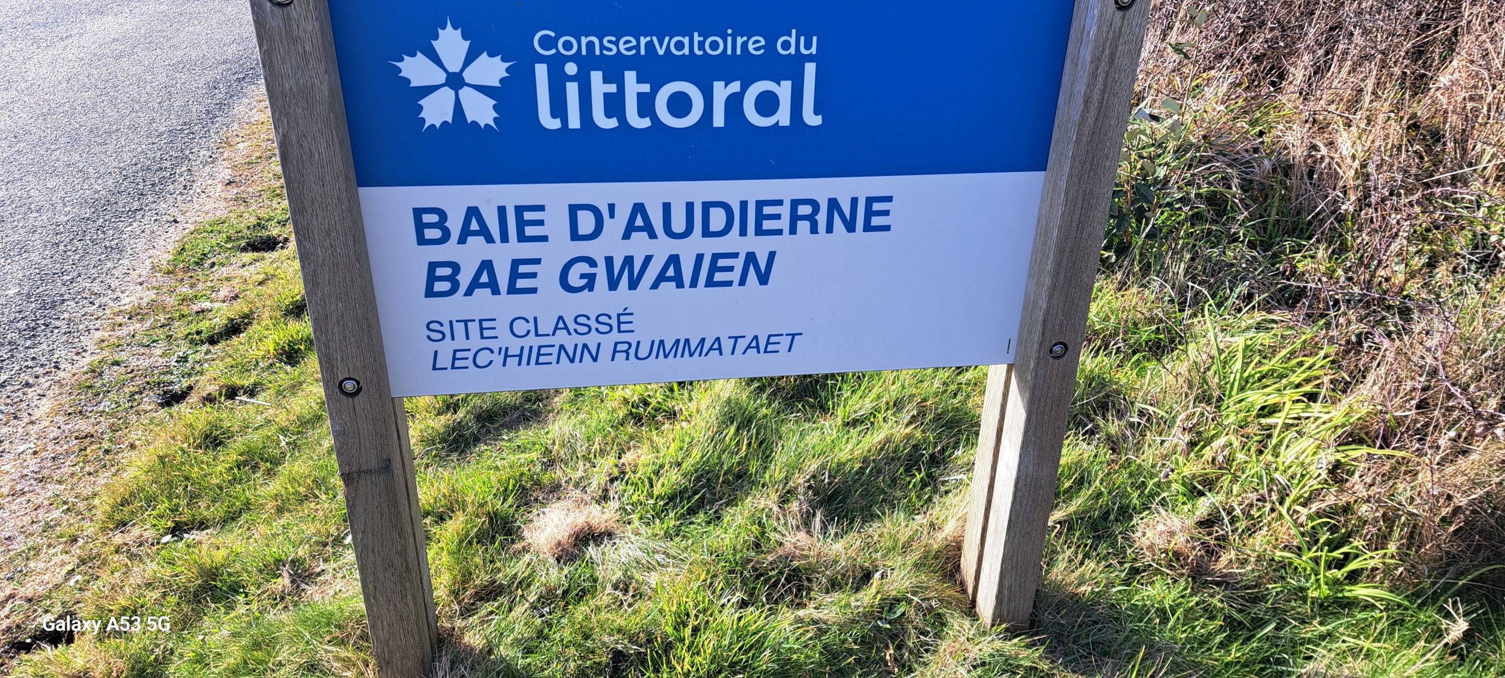 Une photo de l’annonce