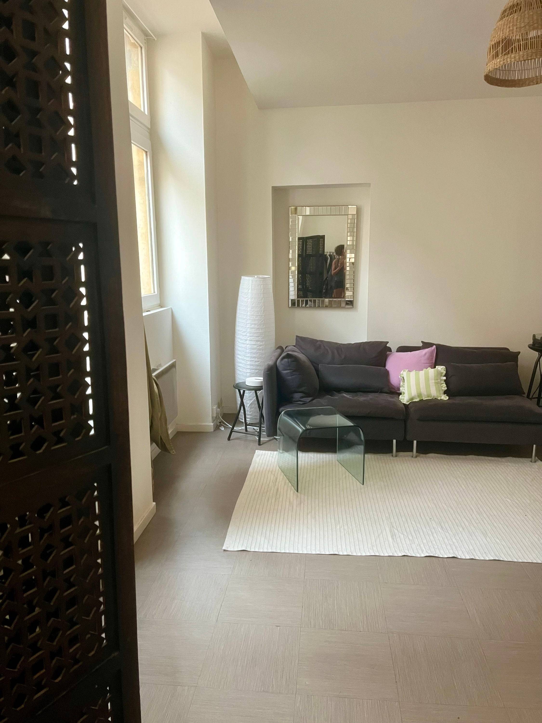 Sous-loue appartement - 45m² - Lyon 1er