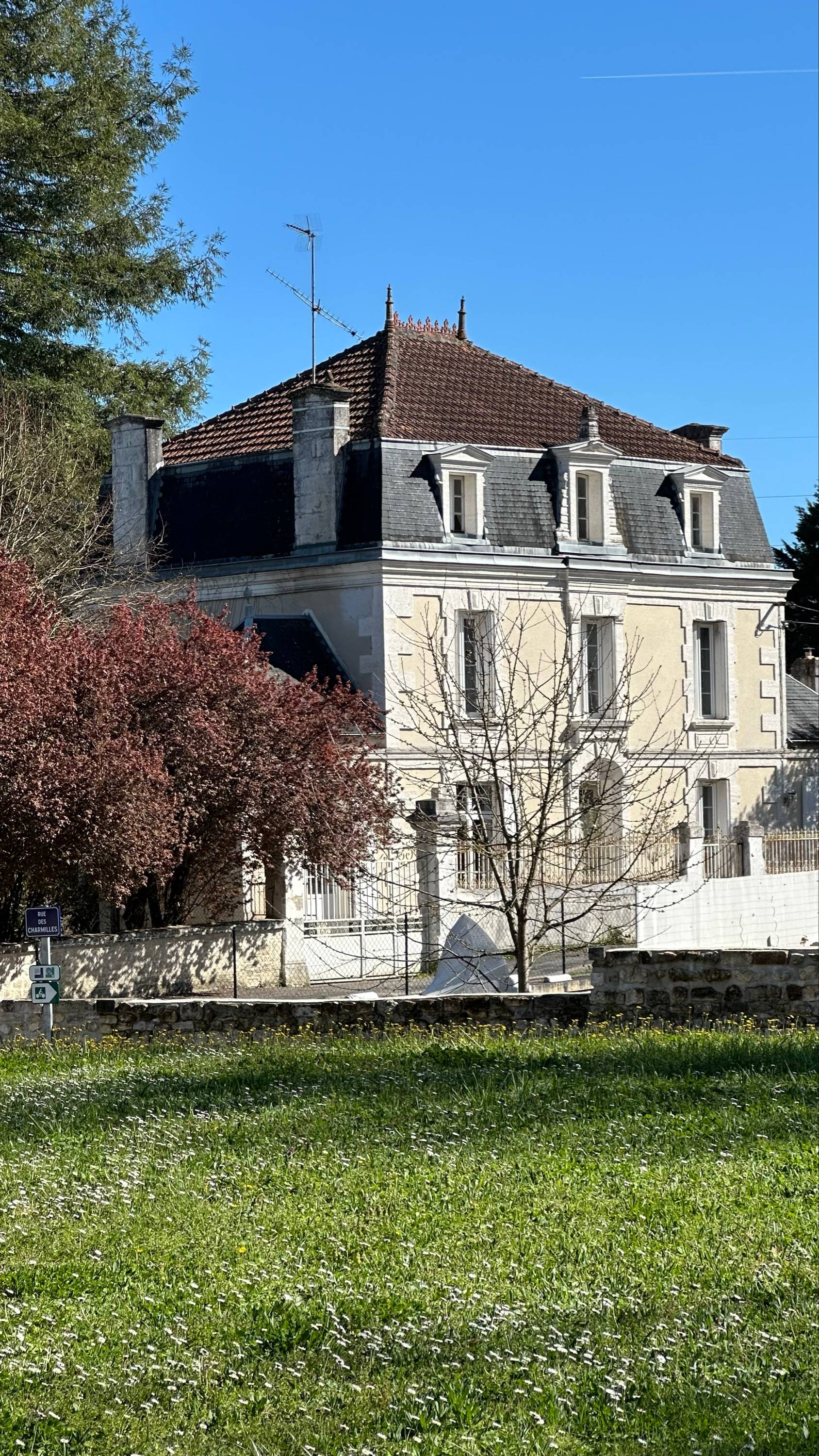 Une photo de l’annonce