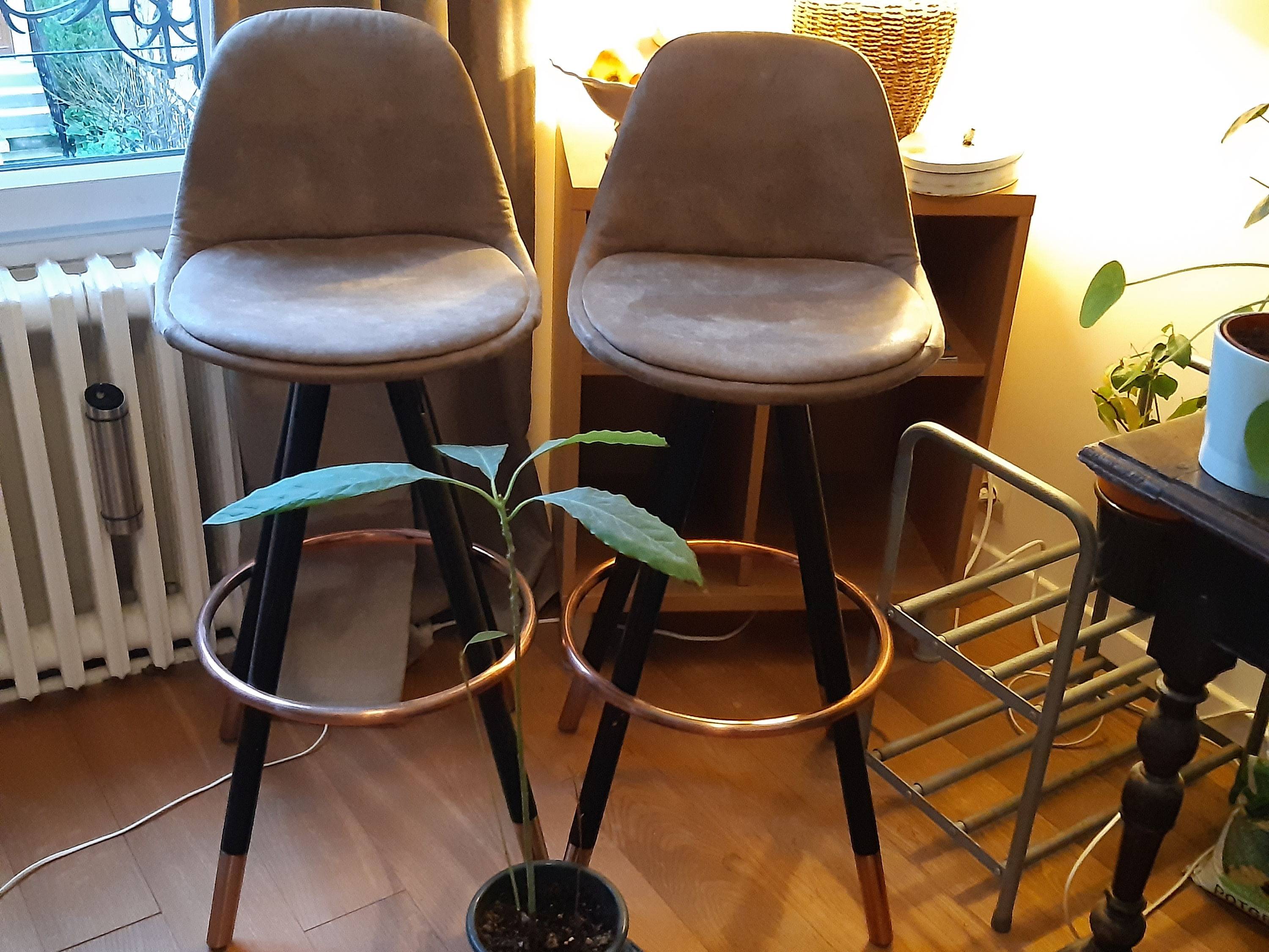 Vends lot de chaises hautes