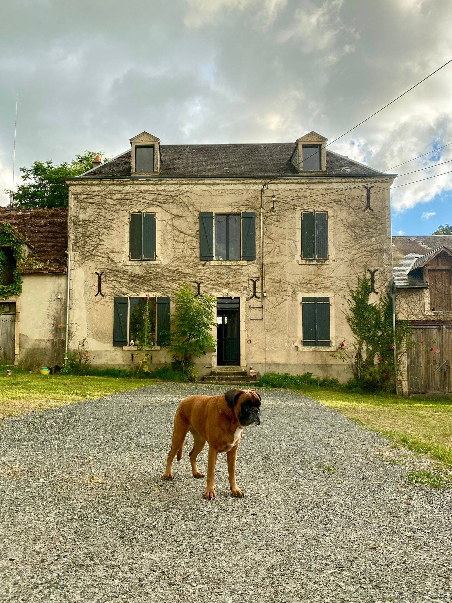 Une photo de l’annonce