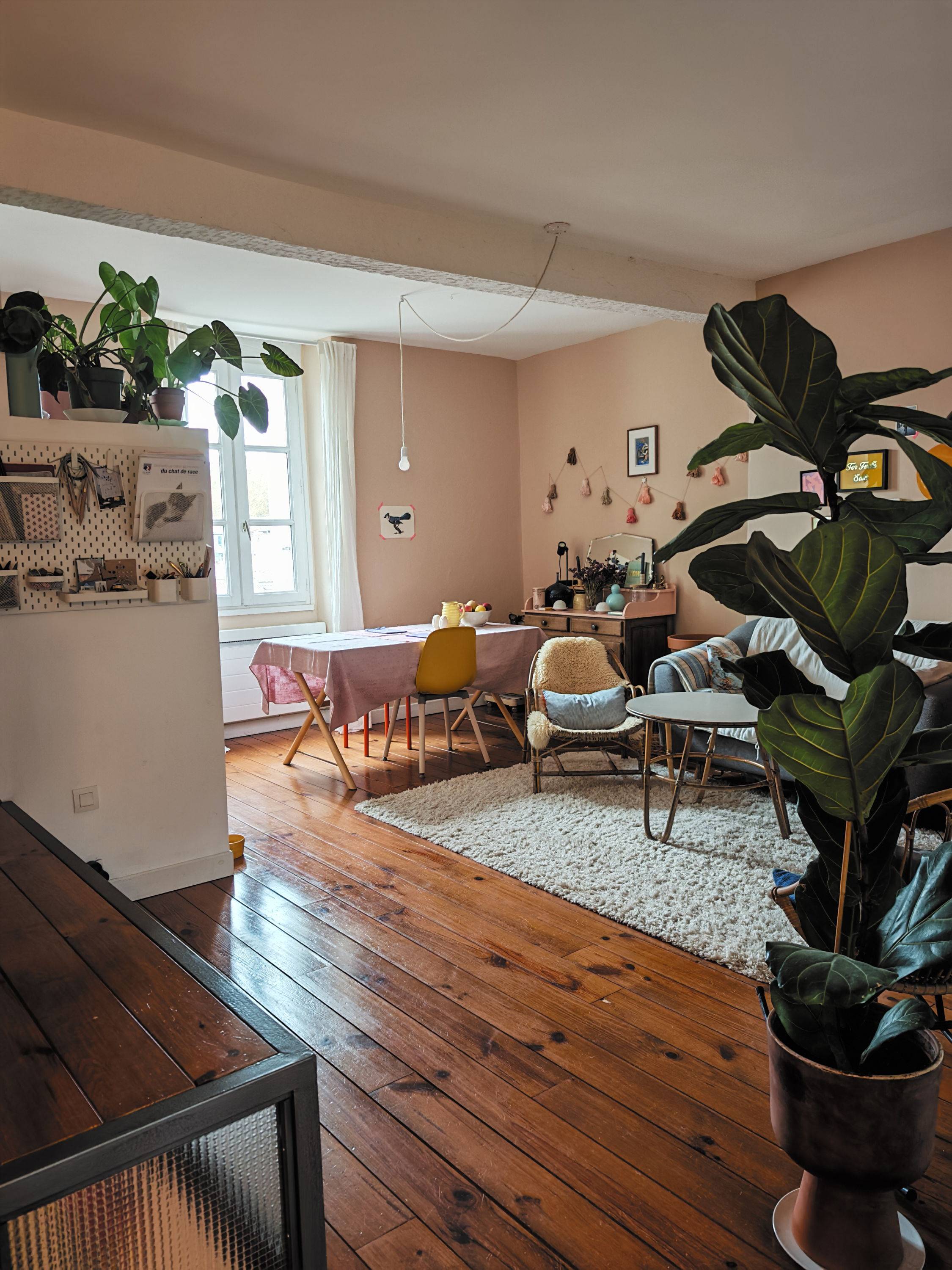 Une photo de l’annonce