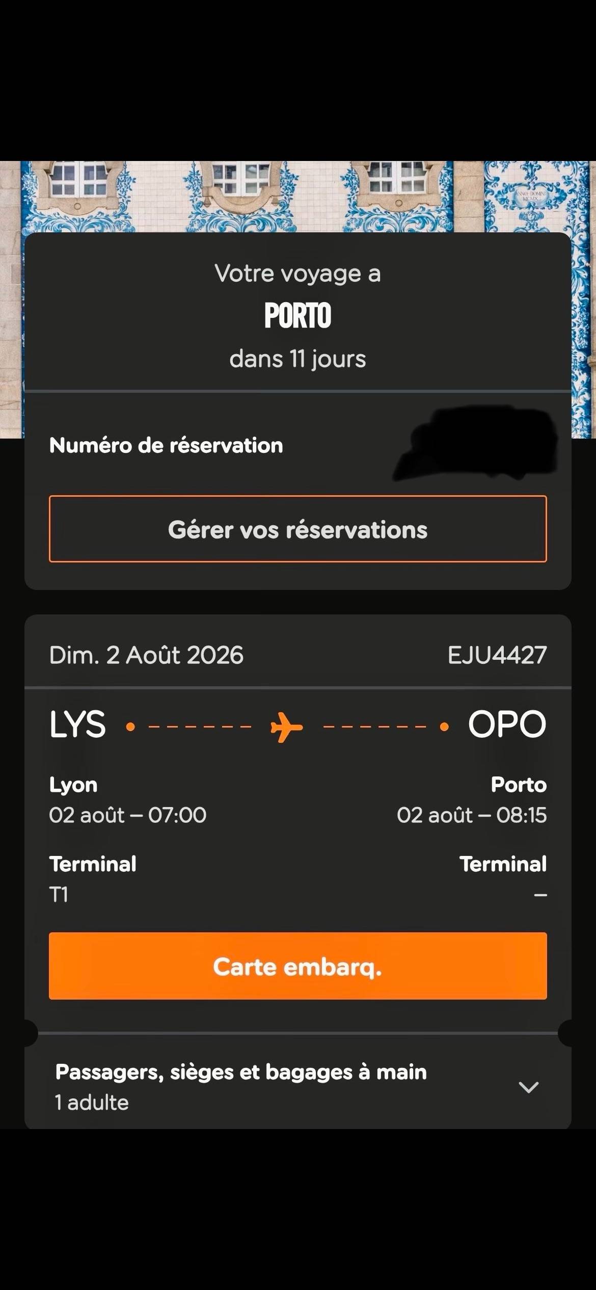 Propose revente billet d'avion EasyJet Lyon -> Porto le 2 août