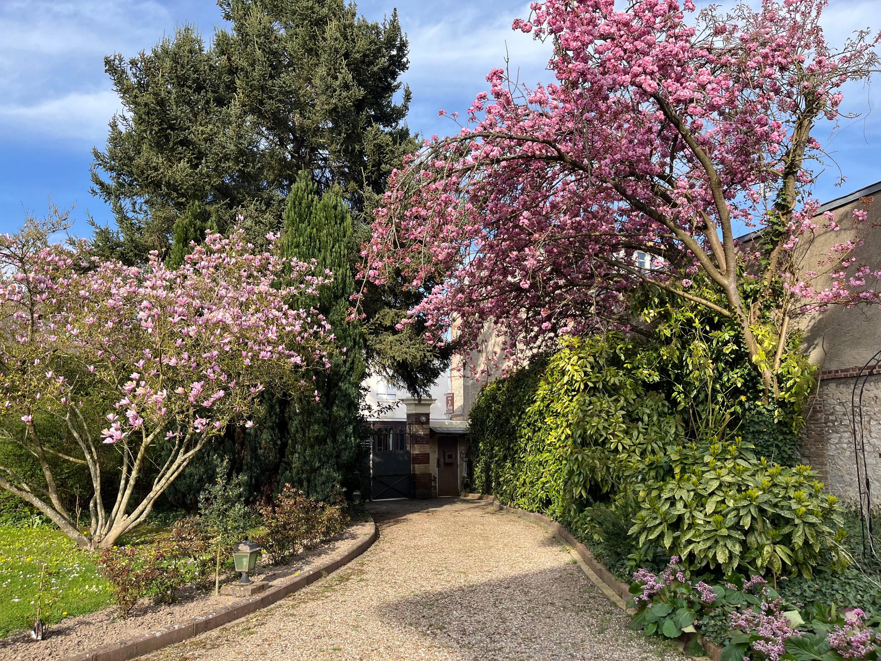 Une photo de l’annonce