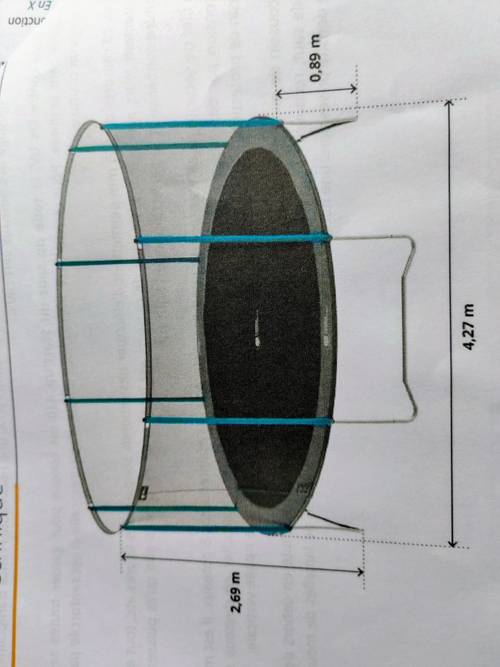 Vends trampoline de 430 cm de diamètre de juin 2023 en bon état