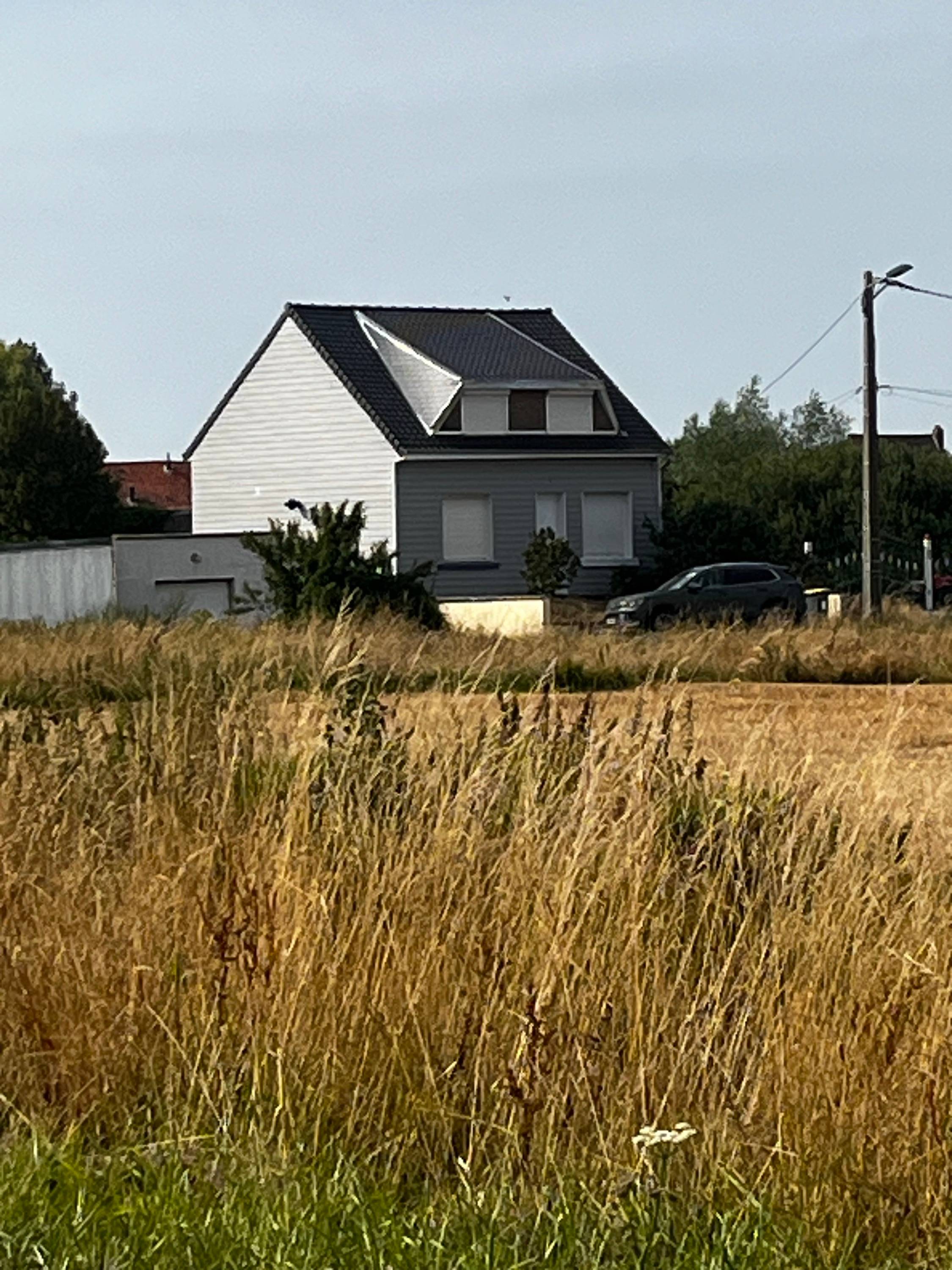 Une photo de l’annonce