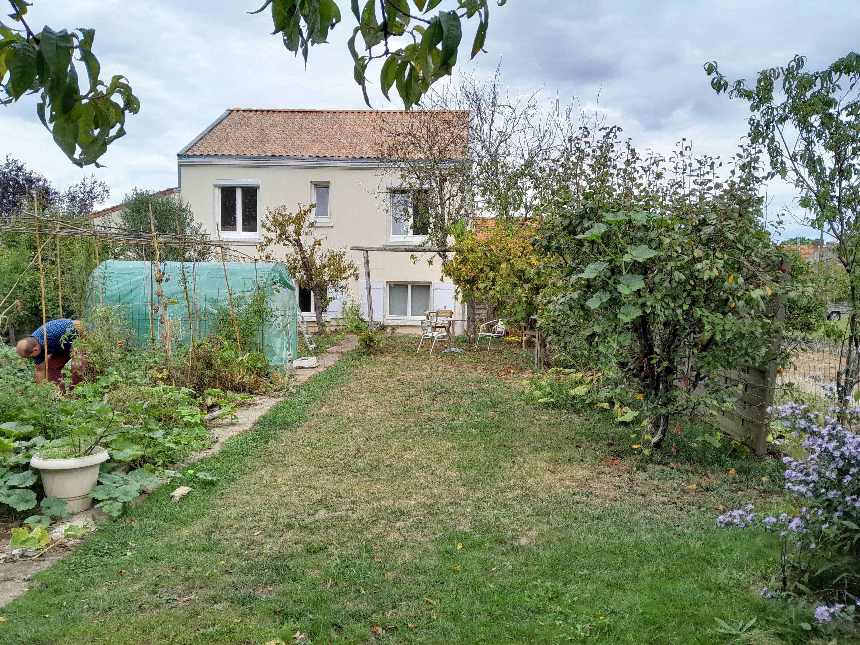 Une photo de l’annonce