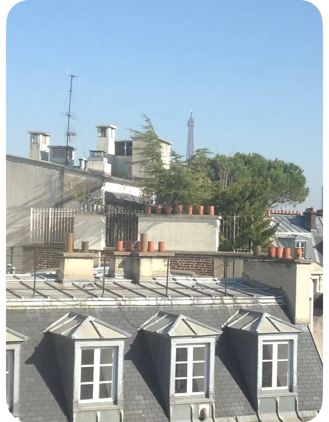 Une photo de l’annonce