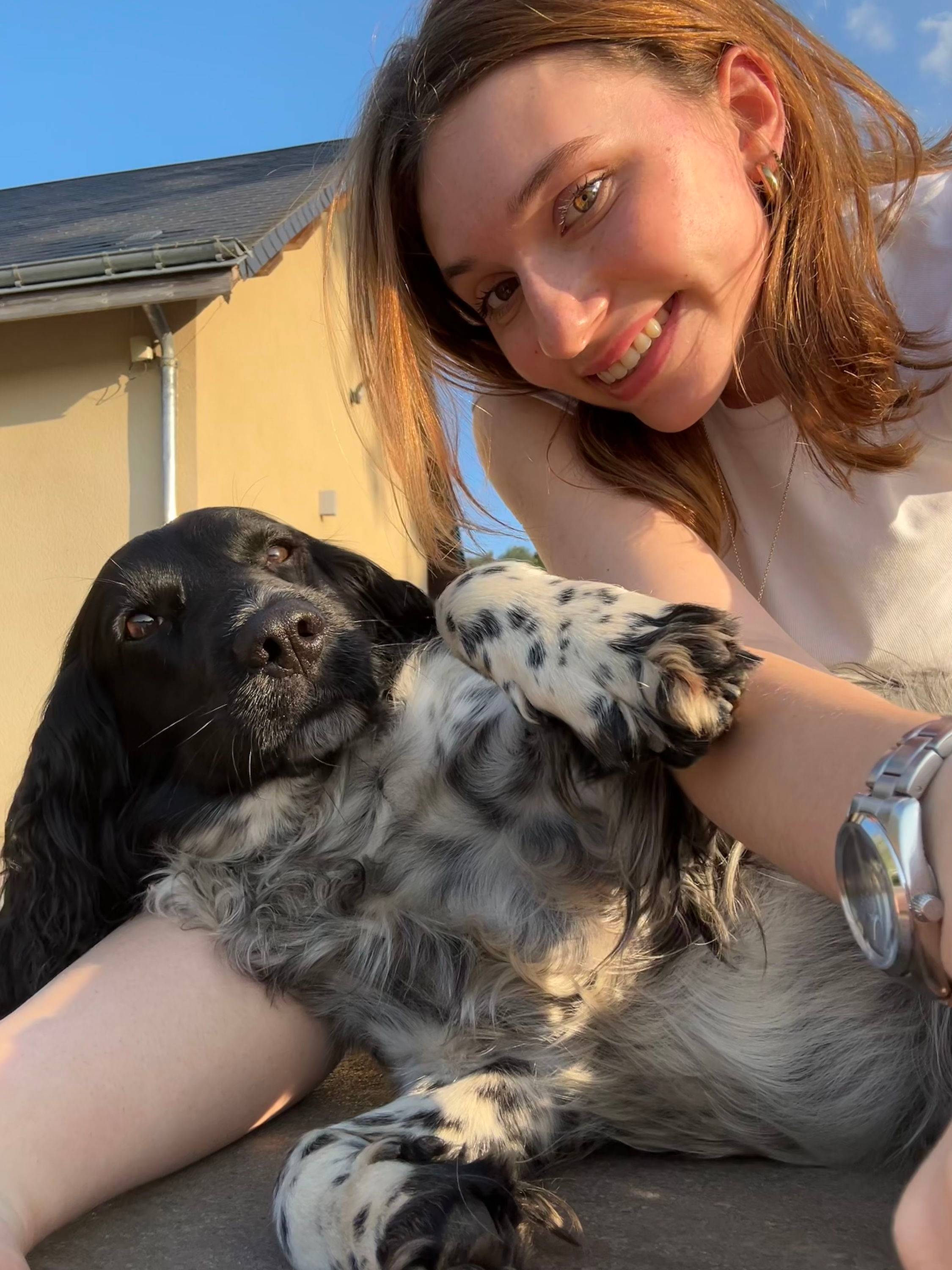 Propose service de dog sitter (Paris 14ème, 6ème, 5ème, 7ème, 15ème)