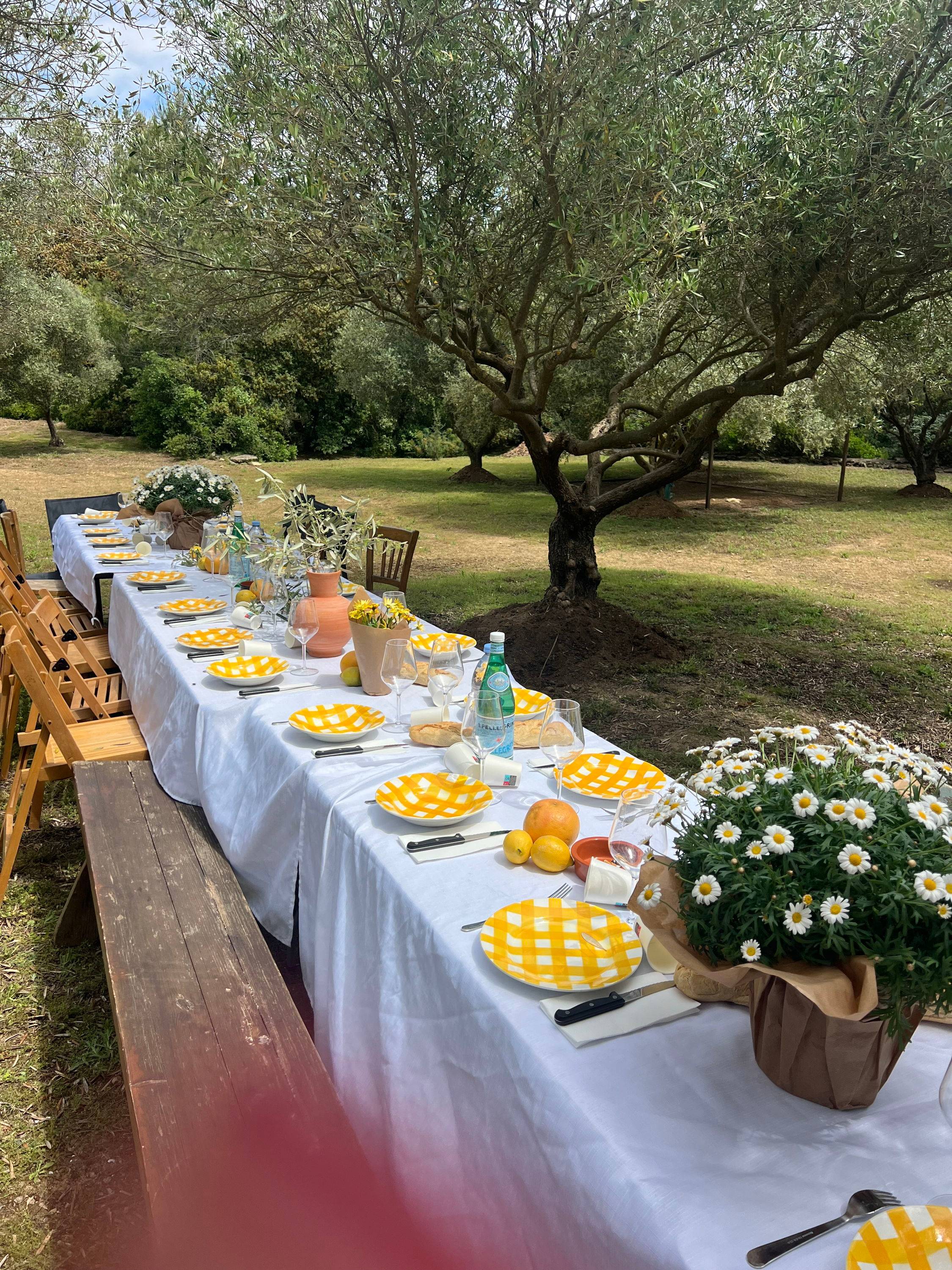 Propose mas provençal et oliveraie pour vos événements