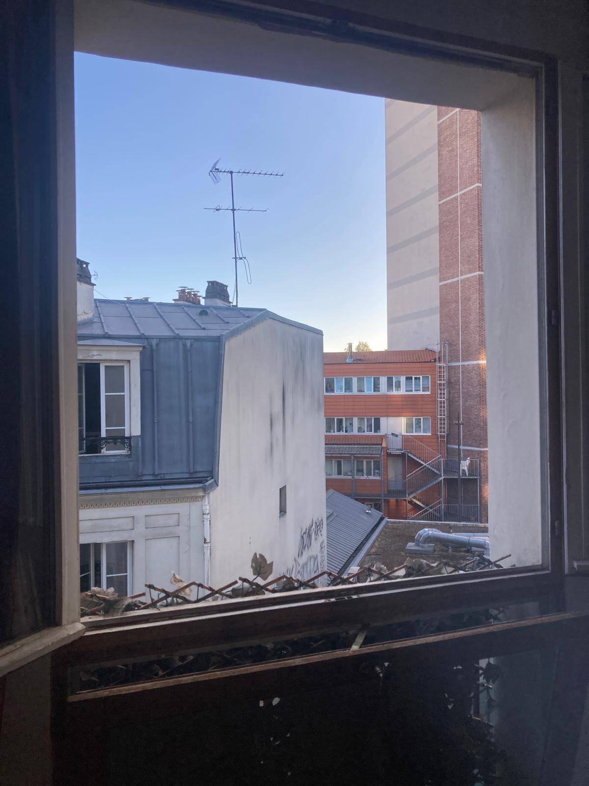 Une photo de l’annonce