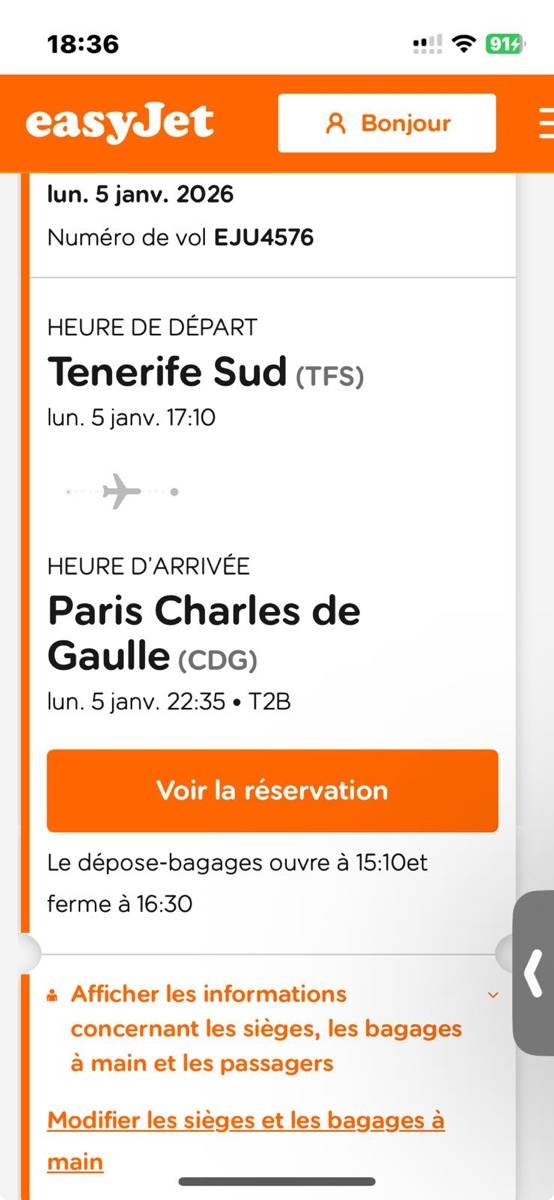 Vends 2 billets d’avion Paris → Tenerife Sud aller le 31 décembre retour le 5 janvier