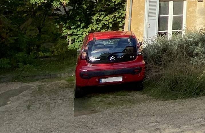 Une photo de l’annonce