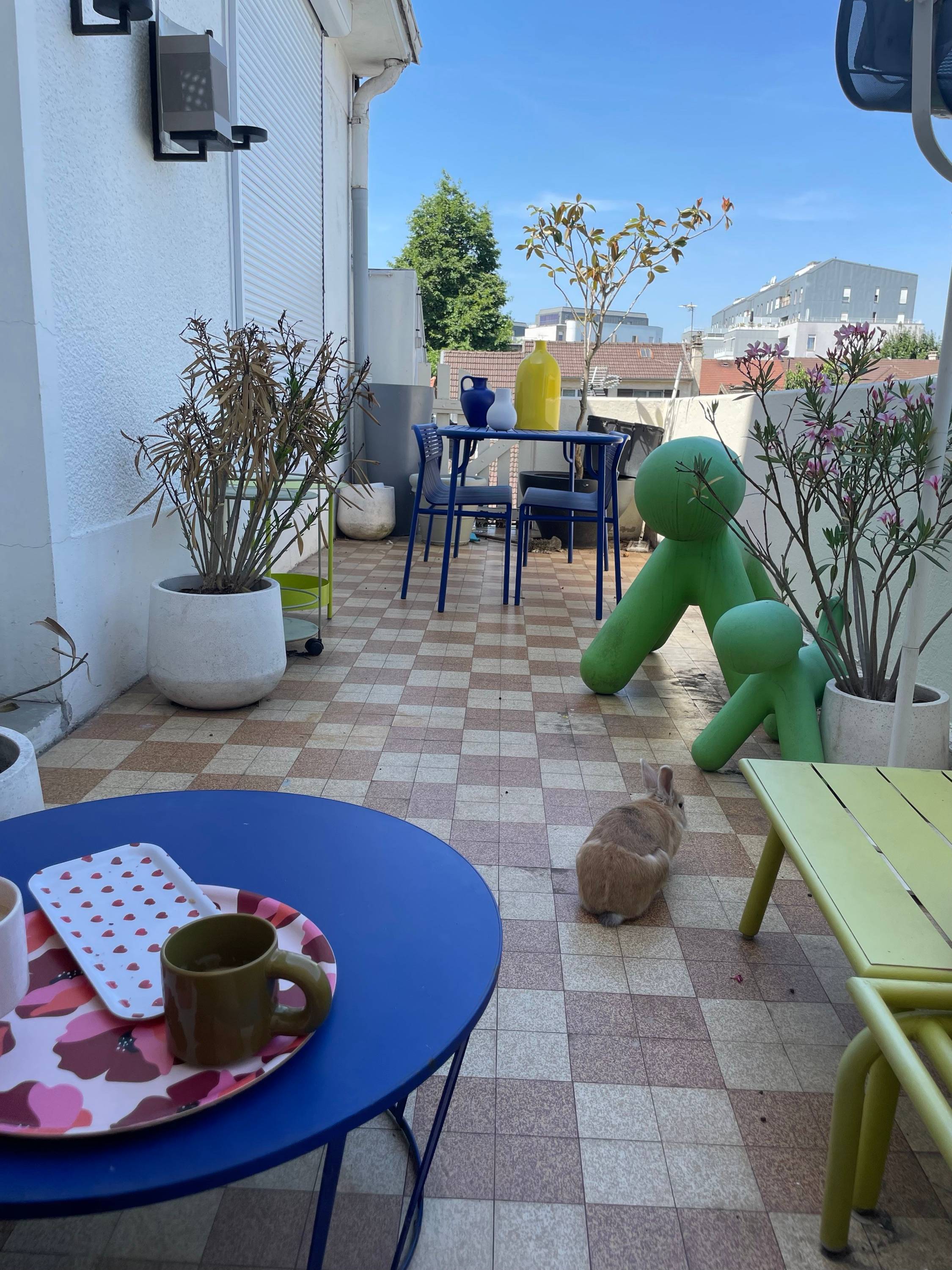 Une photo de l’annonce