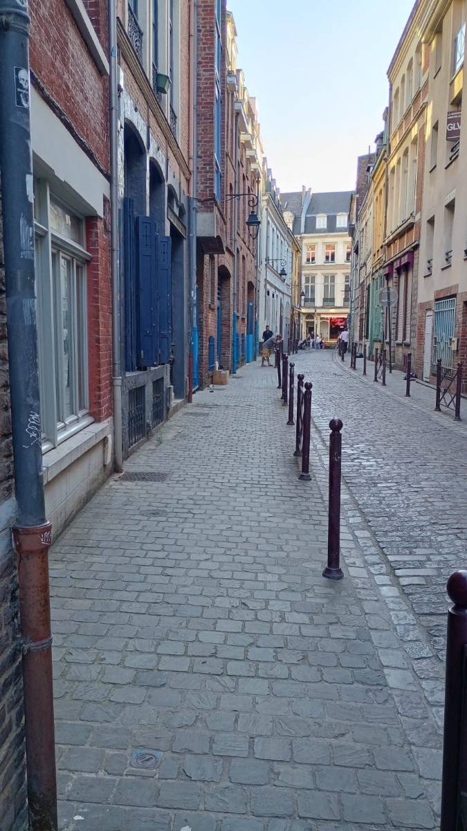 Une photo de l’annonce