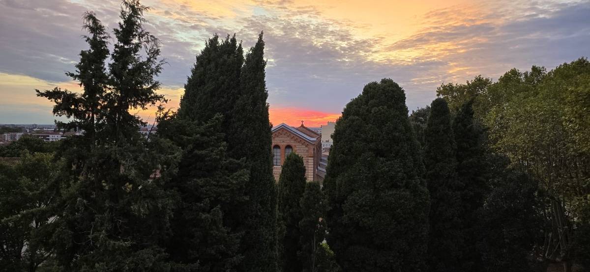 Une photo de l’annonce