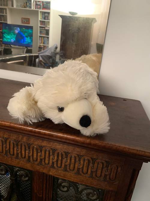 Vends Ours blanc en peluche, allongé le museau sur ses pattes avant, très bon état