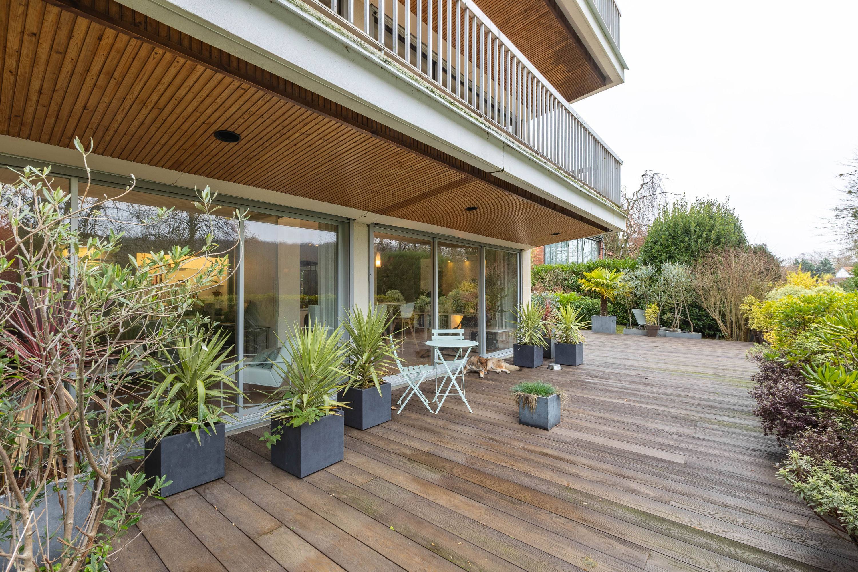 Une photo de l’annonce