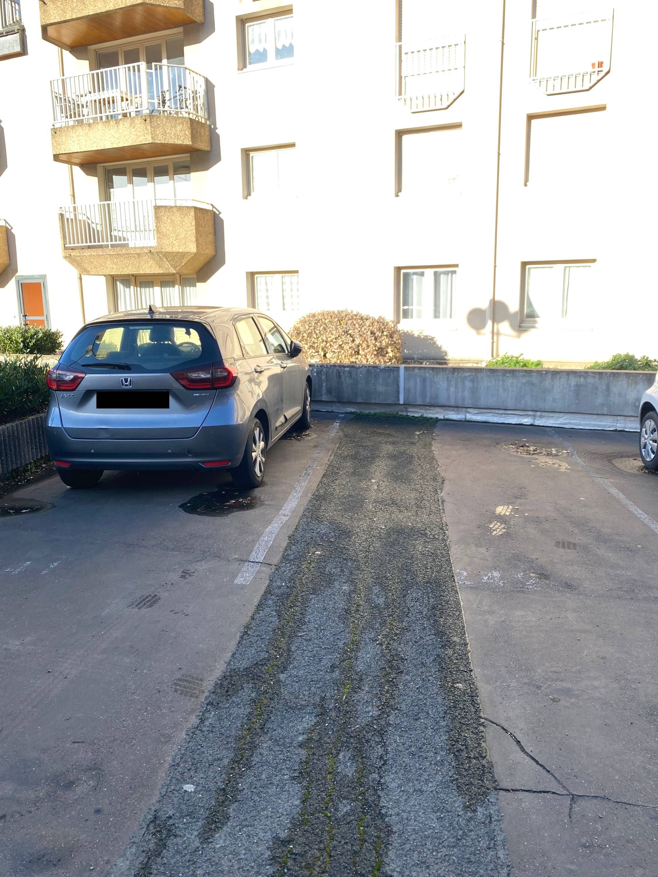 Une photo de l’annonce