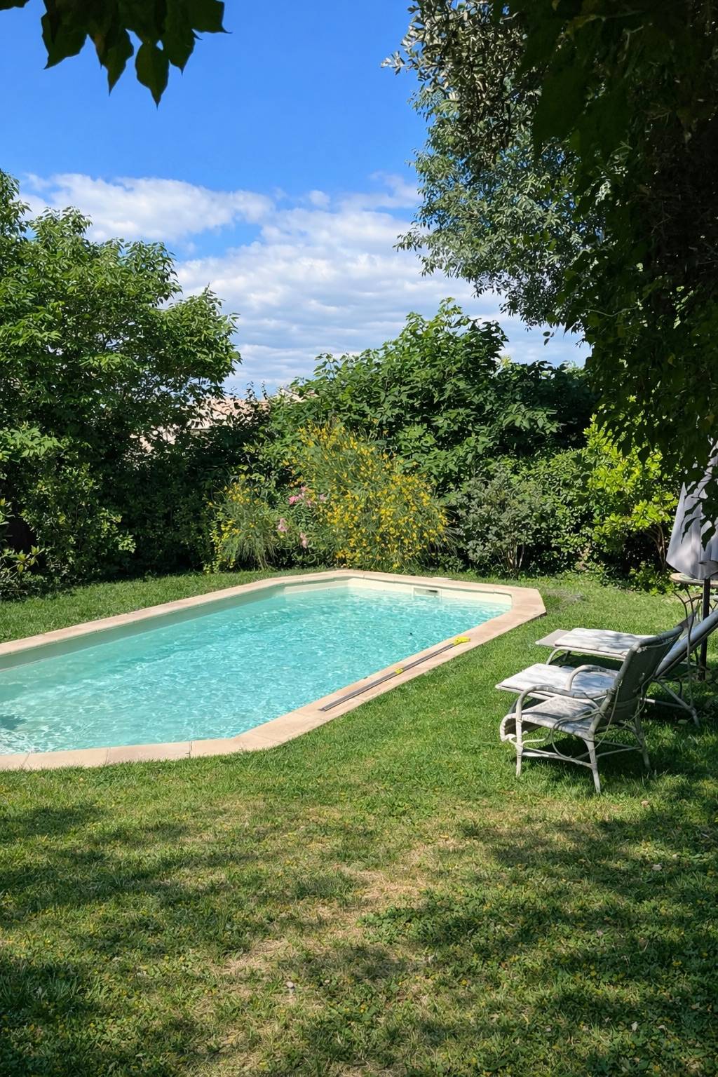Une photo de l’annonce