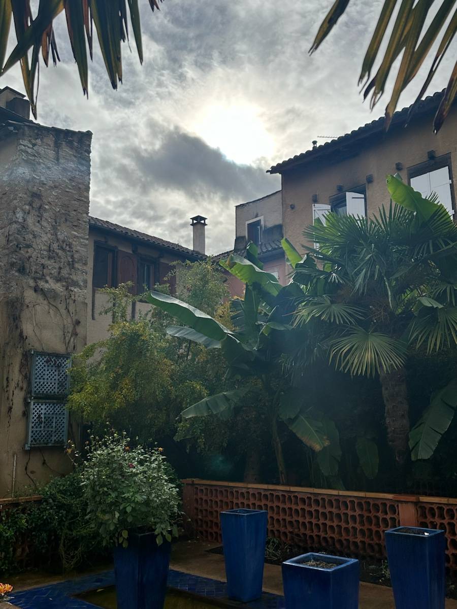 Une photo de l’annonce