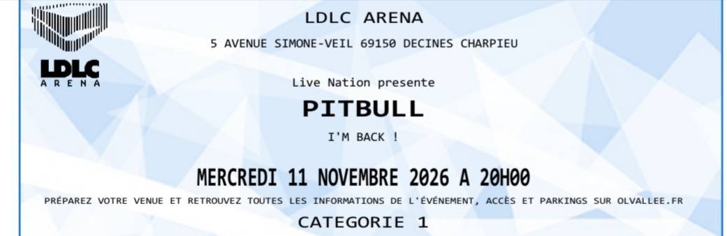 Propose concert de Pitbull à Lyon le 11 novembre