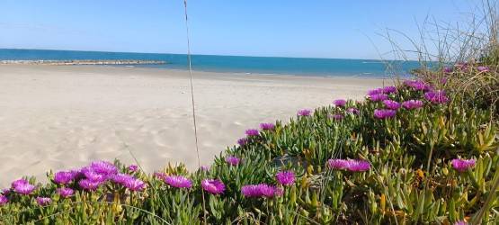 Loue maison à deux pas de la plage - 7 couchages - Carnon