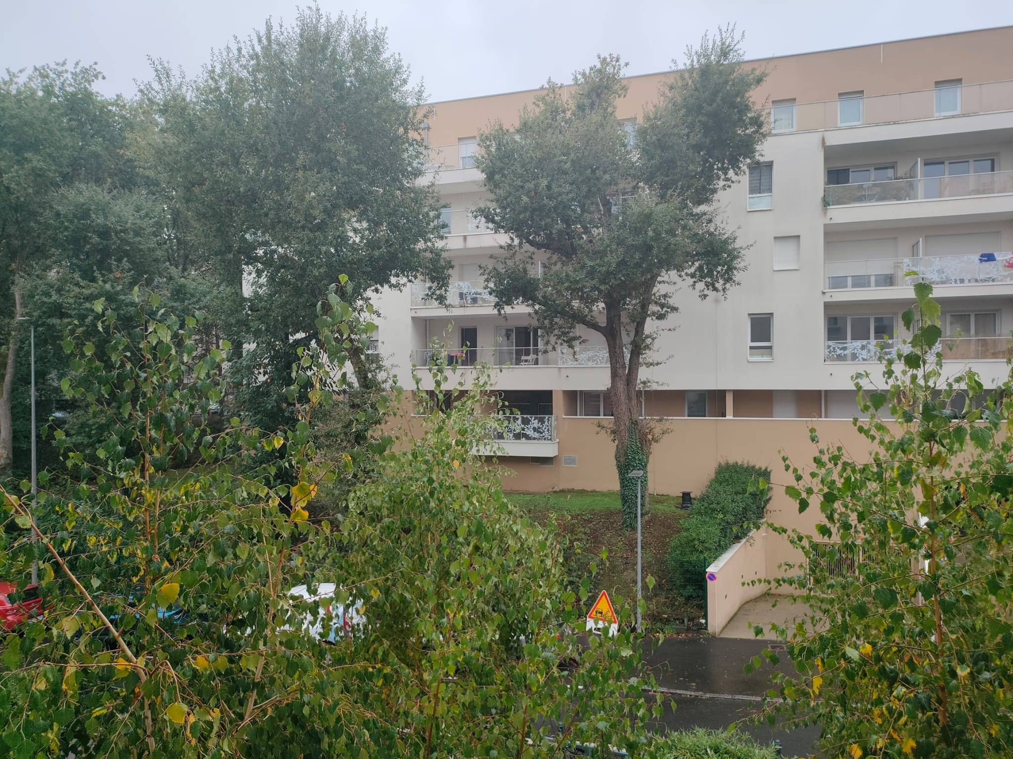 Une photo de l’annonce