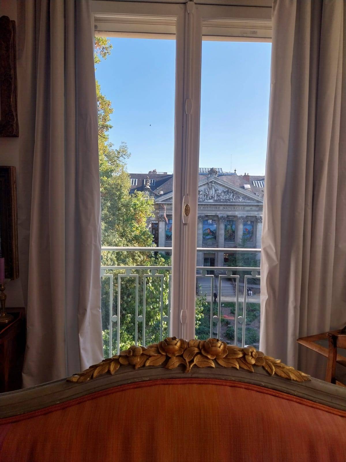 Une photo de l’annonce