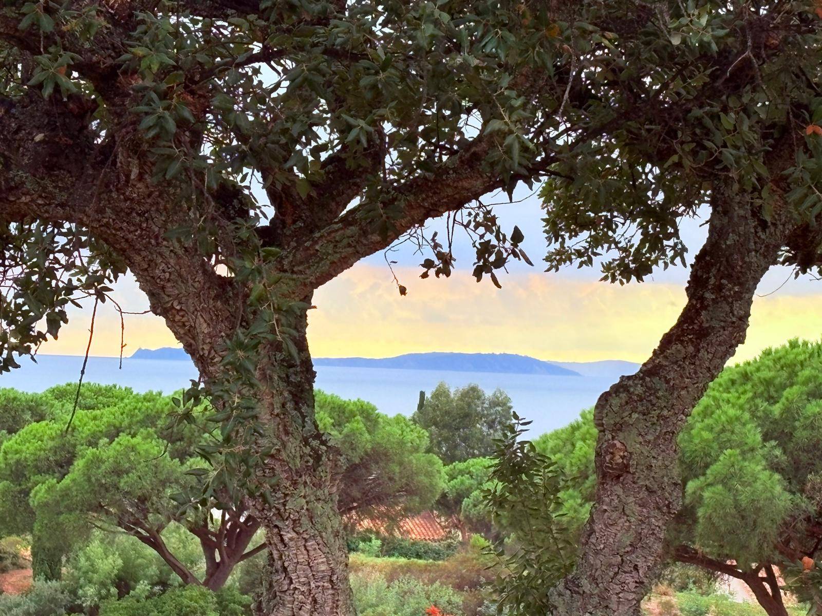 Loue maison avec plein de charme et très cosy avec belle vue mer - 4 couchages - Gigaro - La Croix-Valmer (83)