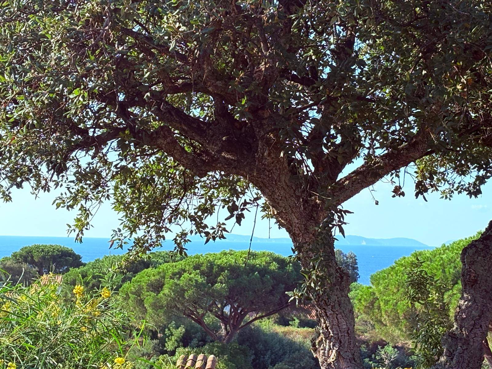 Loue maison avec plein de charme et très cosy avec belle vue mer - 4 couchages - Gigaro - La Croix-Valmer (83)